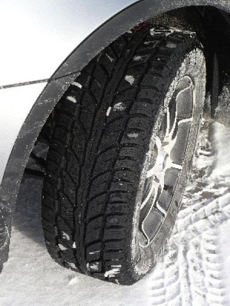 Weather-Master WSC 225/60 R17 99T