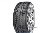 Gripmax SureGrip Pro Winter 265/40 R22 106V XL