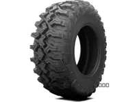 Arisun BRUISER VT AR30 (квадроцикл) 30/10 R15 69M