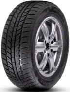Roadx RXFrost WH01 205/55 R16 91H