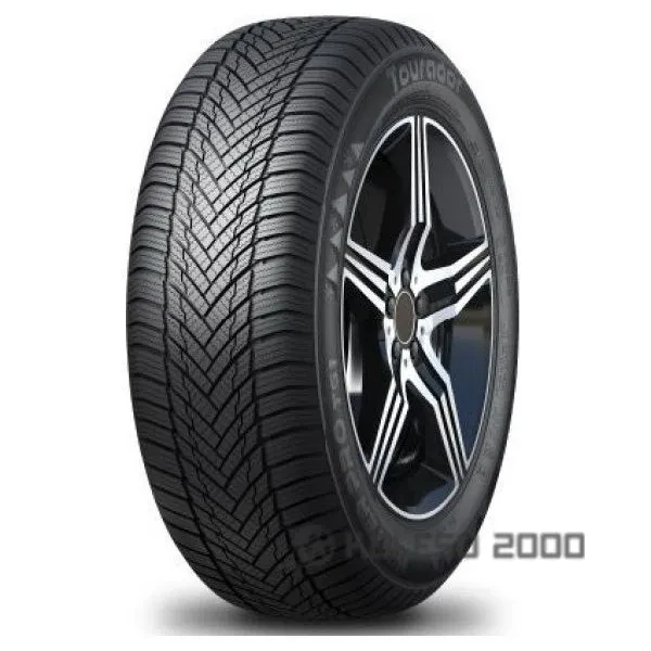 Winter Pro TS1 Winter Pro TS1