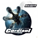 Всесезонные шины Cordiant All-Terrain